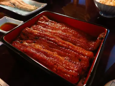 unagi