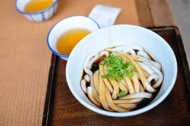 udon