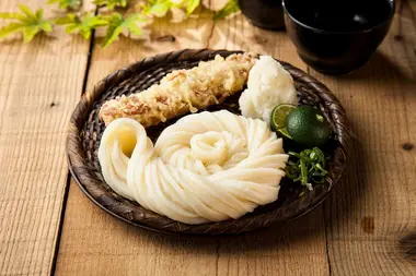 udon