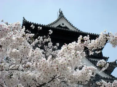 Kumamoto : travel guide, accommodations & activities in Kumamoto
