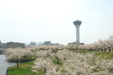 parc Goryokaku