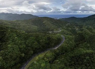 Yakushima