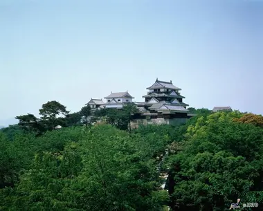 Le château de Matsuyama