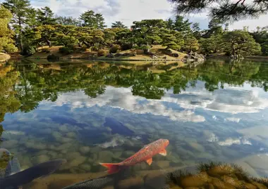 Le jardin Ritsurin à Takamatsu