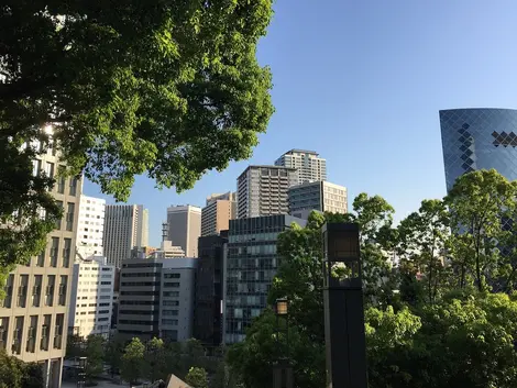 Trees in front of high buildings in Akasaka in Tokyo