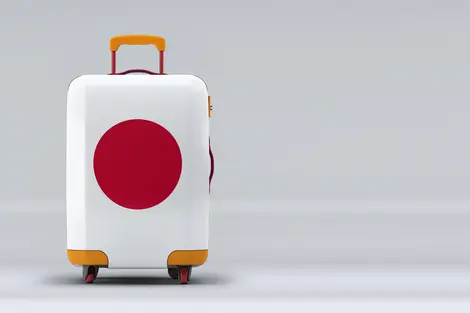 Sayonara - bye bye Japan !