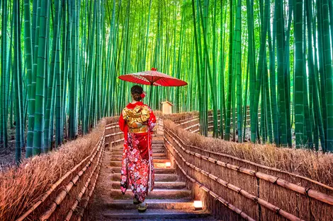 Boschetto di bambù ad Arashiyama: famoso sito turistico da visitare a Kyoto