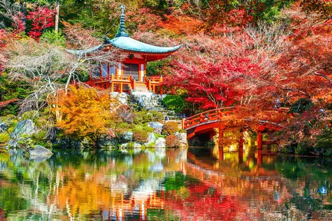 Temple à Kyoto pendant la saison des érables rouges à l'automne