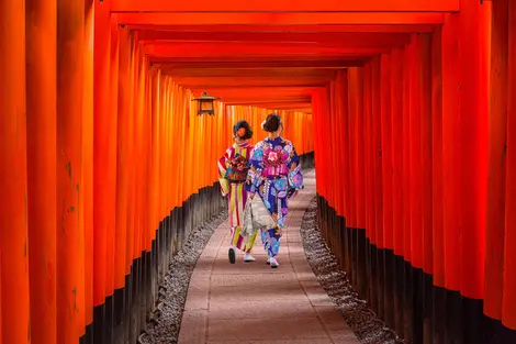 Frauen im Kimono im Fushimi Inari-Schrein in Kyoto