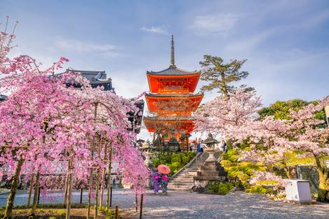 Temple Kiyomizu-dera et cerisiers en fleurs (sakura) à Kyoto, Japon