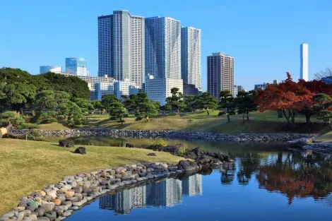 Hamarikyu-Gärten: Einer von Tokio muss man gesehen haben