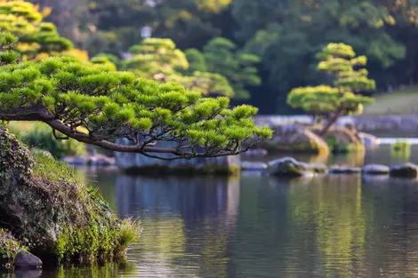 Japanische Landschaft auf der Insel Kyushu in Japan, nahe Kumamoto