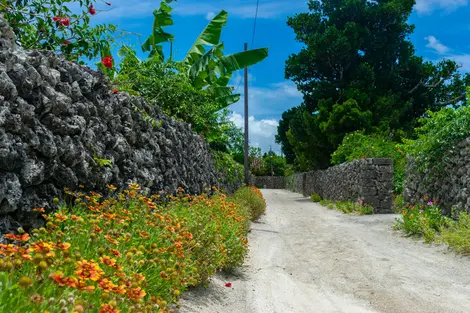 El pueblo isleño de Taketomi, en el archipiélago de Okinawa, se puede explorar en bicicleta o a pie.