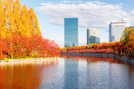 Buildings in Tokyo in autumn