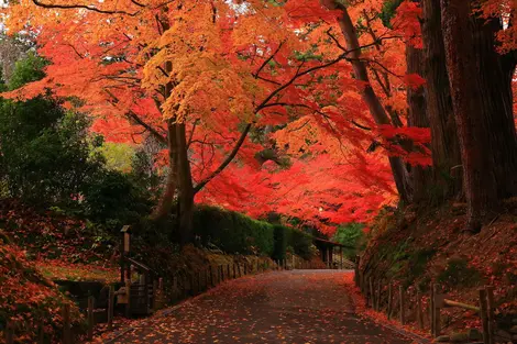 Tempio di Chuson-ji a Hiraizumi - Patrimonio mondiale dell'UNESCO