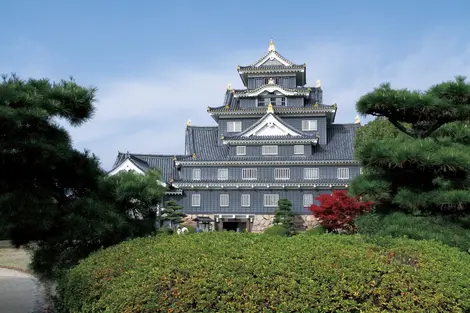 Okayama castle, the Black "castle", close to Korakuen garden