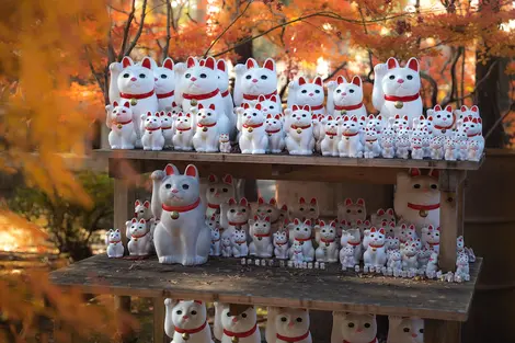 Maneki-neko in einem Tokioter Tempel