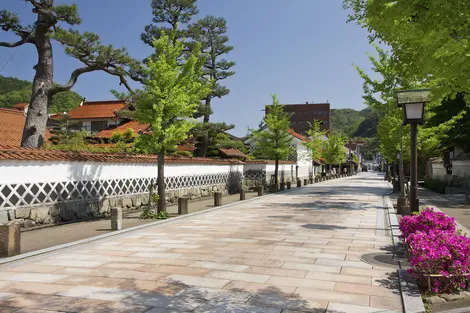 Das traditionelle Dorf Tsuwano mit seinen Ginkgobäumen