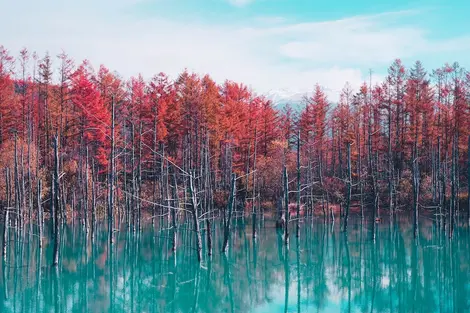 Estanque azul en Hokkaido