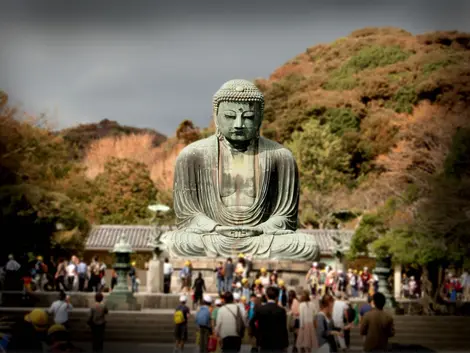 Per quasi otto secoli, il grande Buddha ha vegliato sull'antica capitale del Giappone, Kamakura, a 45 minuti di treno da Tokyo