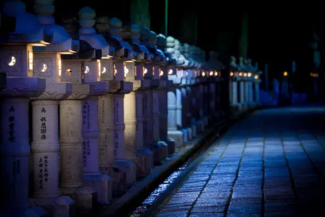 La nécropole d'Okunoin, sur la montagne sacrée de Koyasan