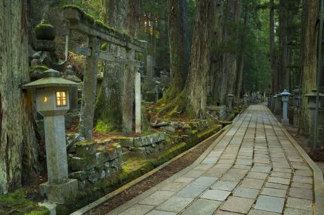 Ein Weg durch den alten buddhistischen Friedhof von Okunoin in Koyasan