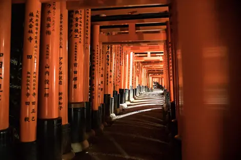 Visita Fushimi Inari, uno dei santuari più famosi di Kyoto