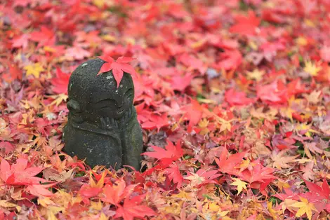 Statue de jizo à contempler en automne au temple Enko-ji à Kyoto