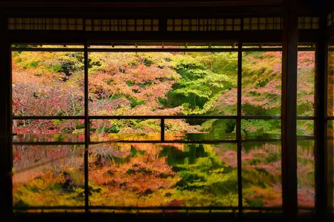 Temple in Kyoto with amazing autumn foliage