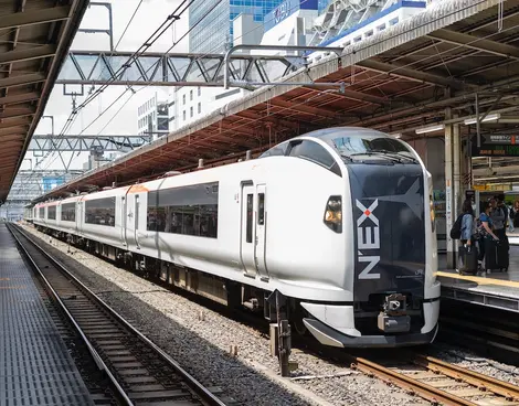 N'EX, Narita Express N'EX, Narita Express