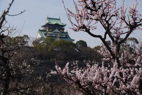 Osaka Osaka