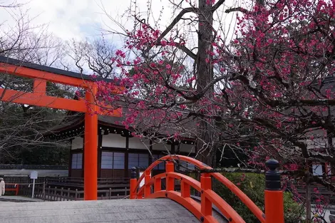 Shimogawamo jinja, Kyoto Shimogawamo jinja, Kyoto