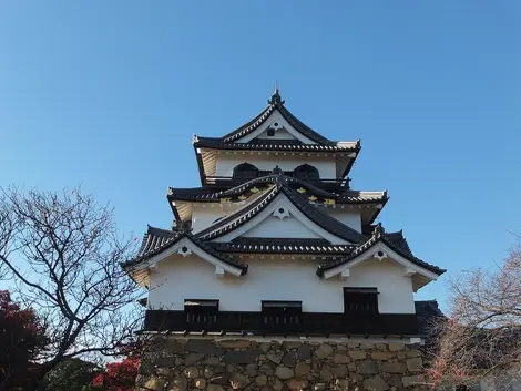 Hikone Hikone