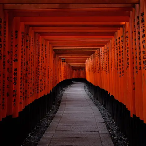 Fushimi Inari Fushimi Inari