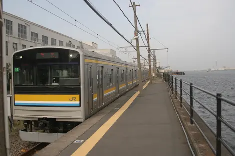 Umi-Shibaura Umi-Shibaura