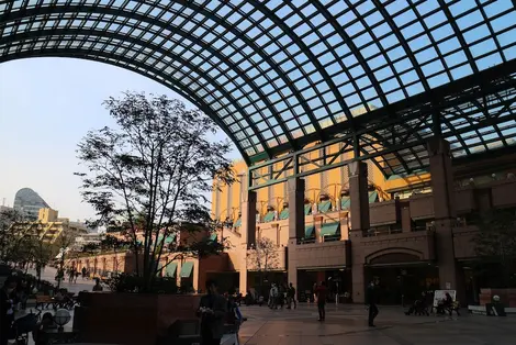 Ebisu Ebisu