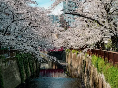 Meguro Meguro