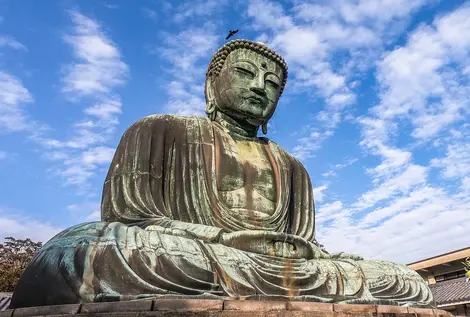 Le Daibutsu, ou grand bouddha, monument emblématique de Kamakura