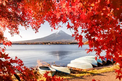 Le Mont Fuji depuis le lac Kawaguchiko Le Mont Fuji depuis le lac Kawaguchiko