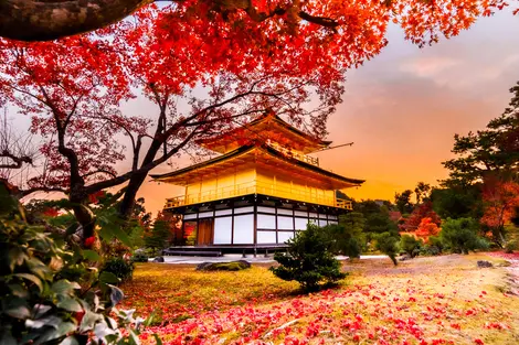 Le pavillon d'or à Kyoto, un incontournable à visiter dans l'ancienne capitale du Japon