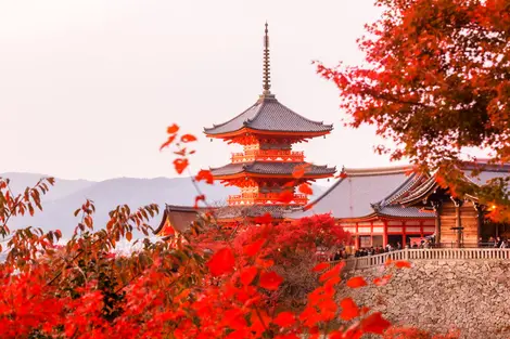The Kiyomizu-dera in Kyoto during fall season The Kiyomizu-dera in Kyoto during fall season