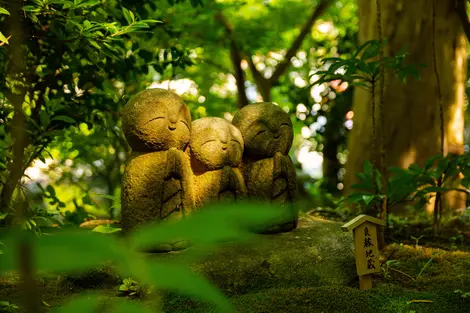 Kamakura Kamakura