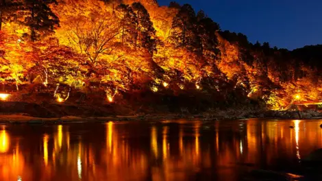 Illuminations de nuit dans la vallée de Korankei Illuminations de nuit dans la vallée de Korankei