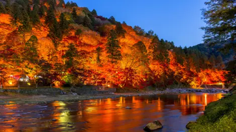 Illuminations de nuit dans la vallée de Korankei