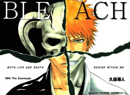 Bleach