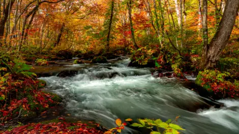 Oirase gorges Oirase gorges