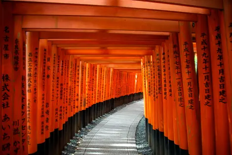 Fushimi Inari 