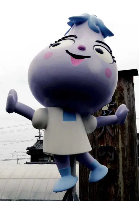 Kuroshio Mascot 3 Kuroshio Mascot 3