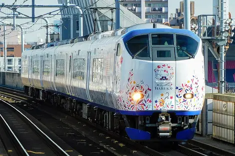 Haruka Express Haruka Express