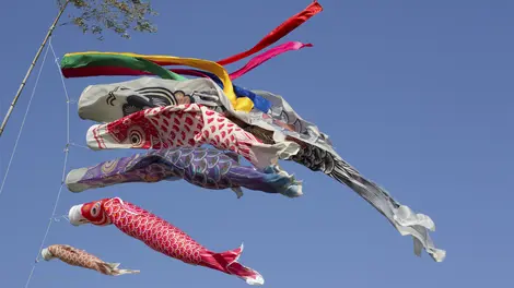 The carp streamers Chidlren Day